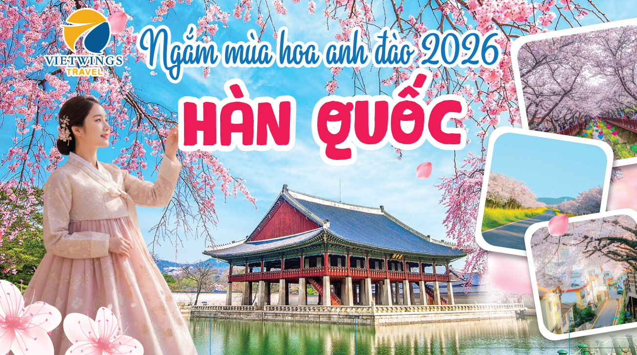 TOUR HÀN QUỐC HOA ANH ĐÀO 2026 - HÀNH TRÌNH MÙA XUÂN ĐẸP NHẤT NĂM